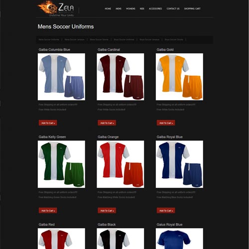 Zela Soccer website design