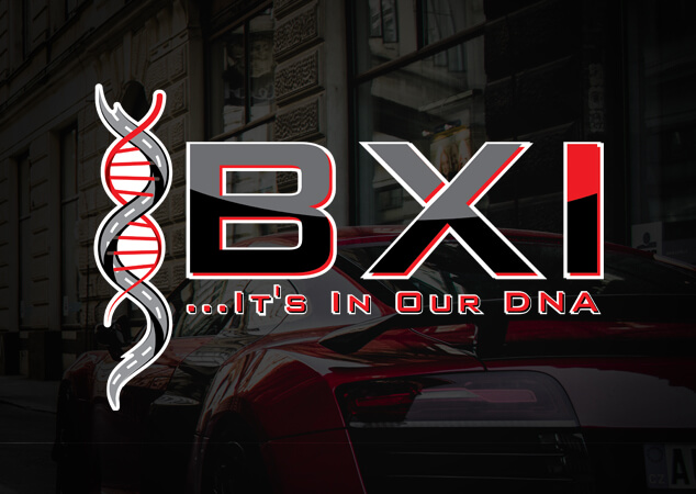 BXI logo